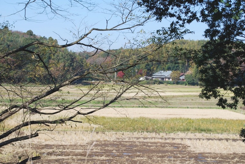 e0025300_15393752.jpg