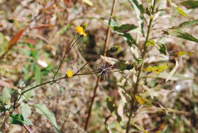 e0025300_15542525.jpg