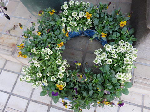 d0046702_7461777.jpg