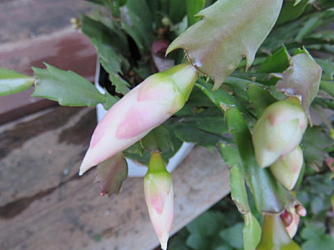 d0046702_87681.jpg