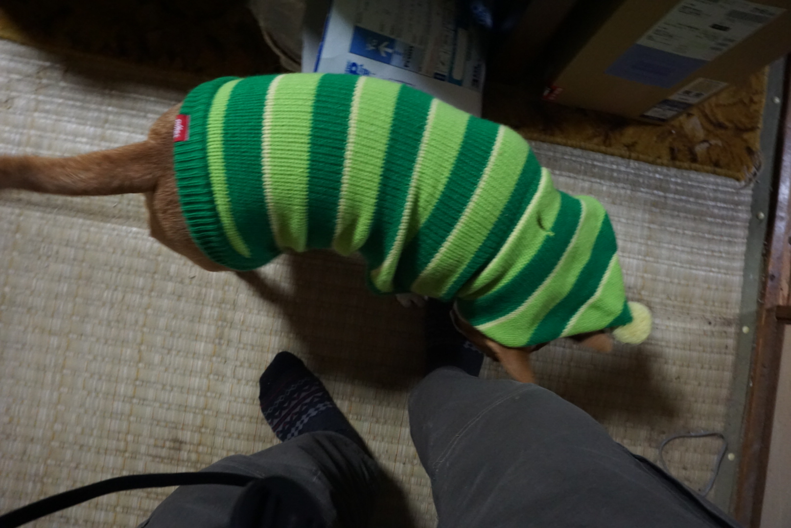 f0353904_17565879.jpg
