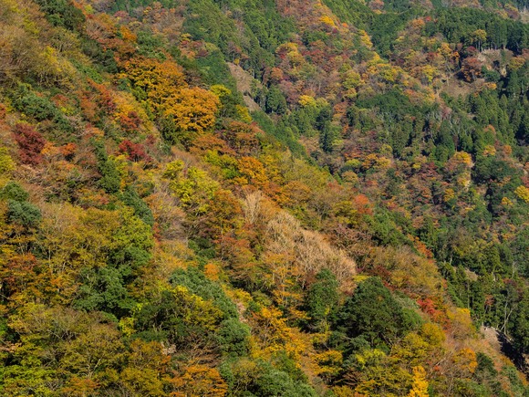 f0302208_133067.jpg