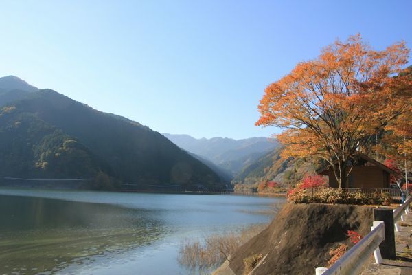 d0224111_12290821.jpg