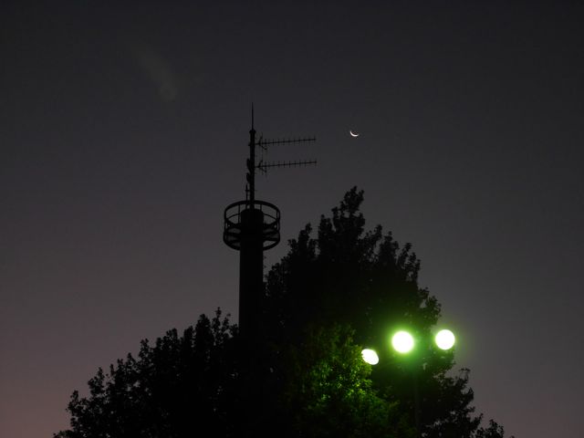 e0087511_1755487.jpg