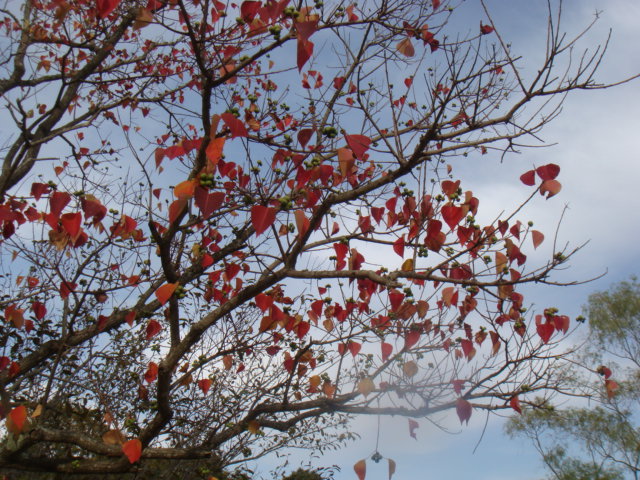 a0019212_943993.jpg
