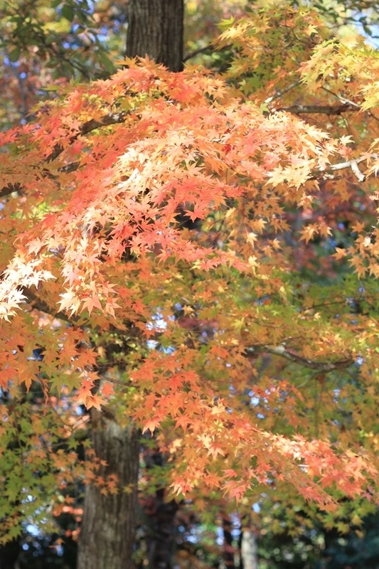 b0207615_22300134.jpg
