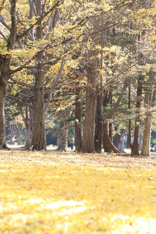 b0207615_22314241.jpg