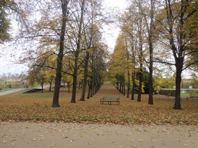 f0248616_21301278.jpg