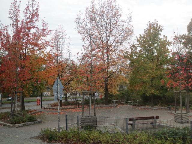 f0248616_21471690.jpg