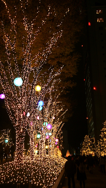 f0219718_20204437.jpg