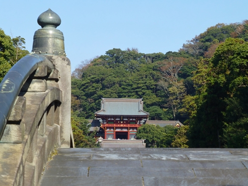 c0172719_2061060.jpg
