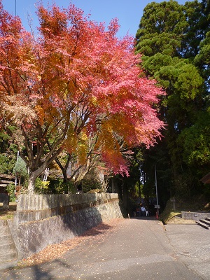f0031420_2248179.jpg