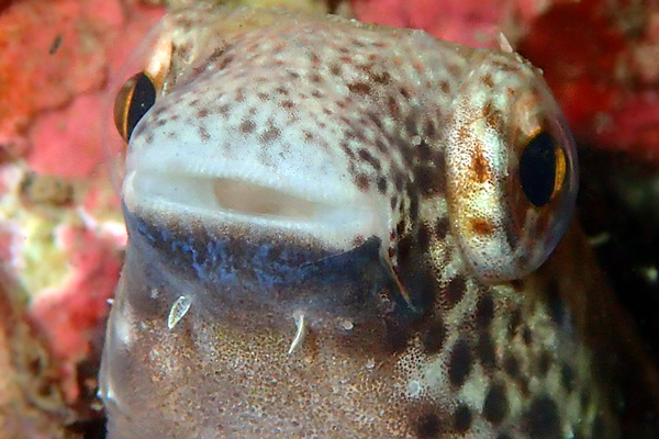 b0044726_23334731.jpg