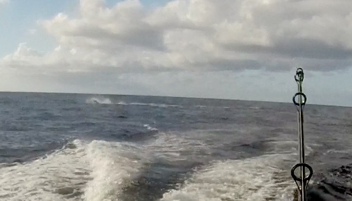 a0050227_19441814.jpg