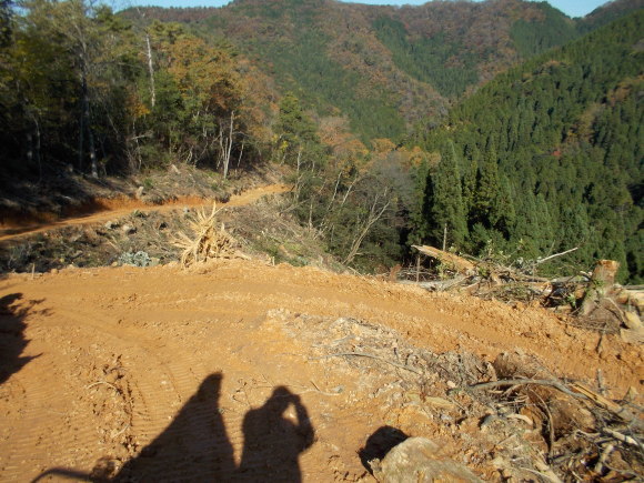 f0111128_17565192.jpg