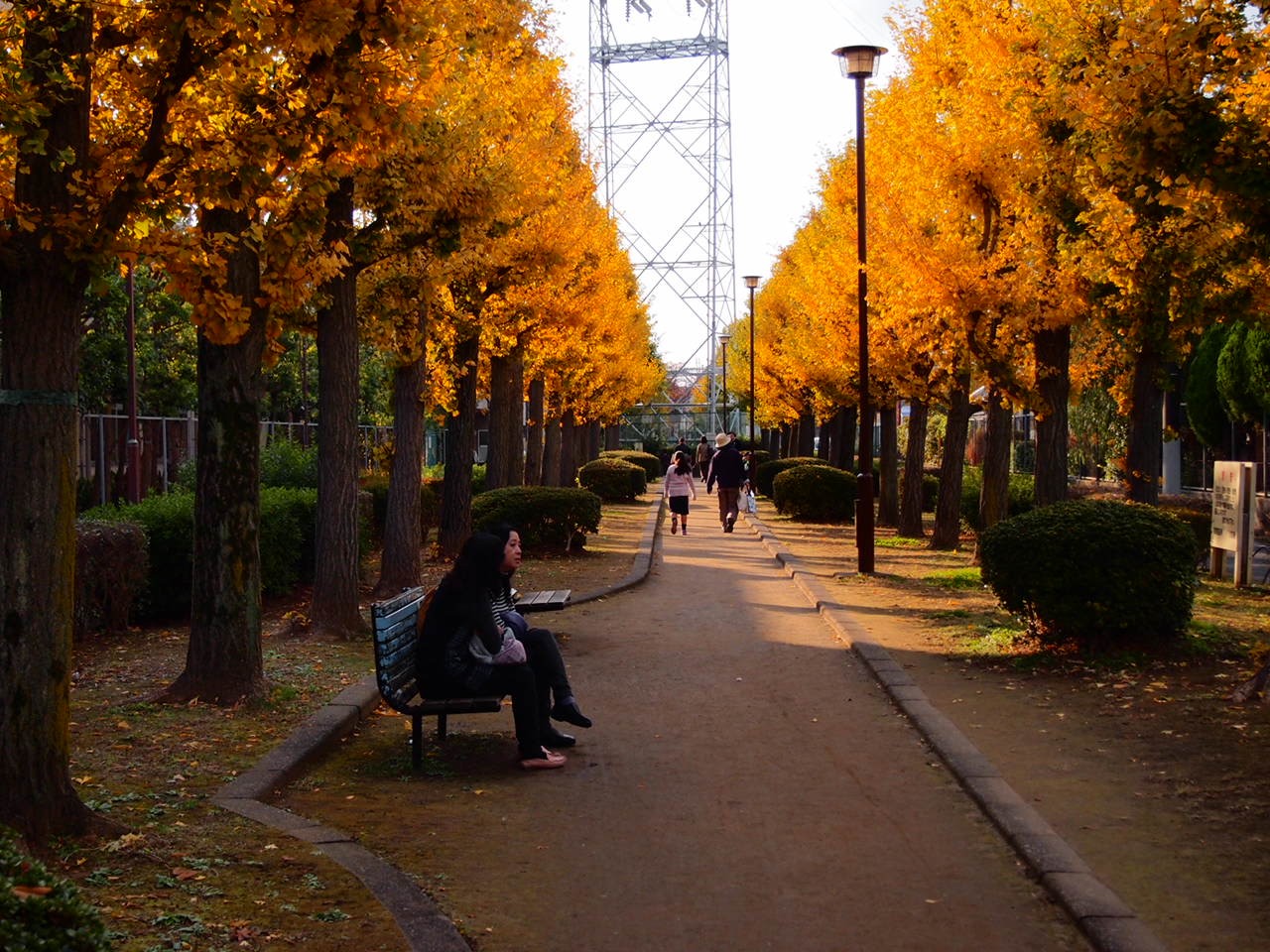a0214329_014873.jpg