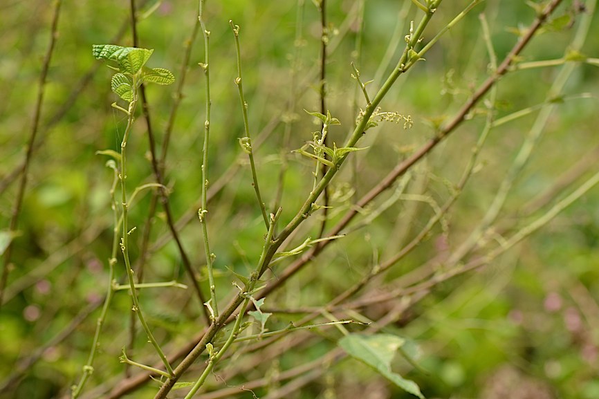 d0303129_1402564.jpg