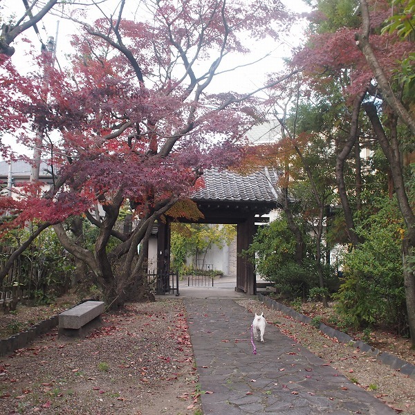 a0148431_19131279.jpg
