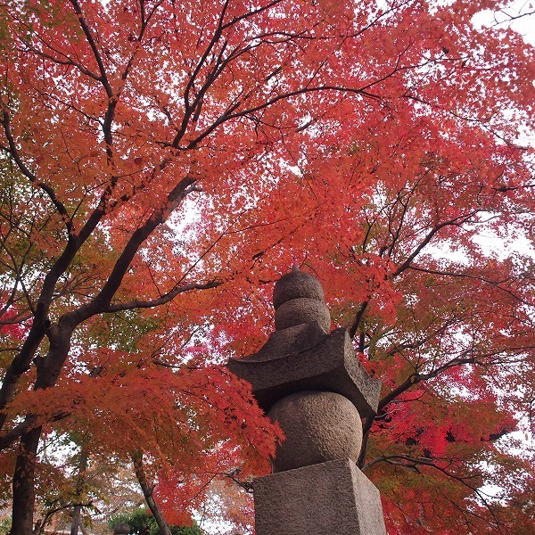 a0148431_19192991.jpg