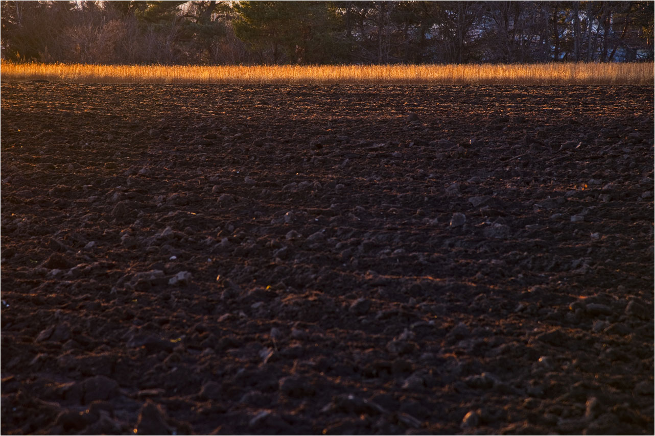 a0245331_12354277.jpg