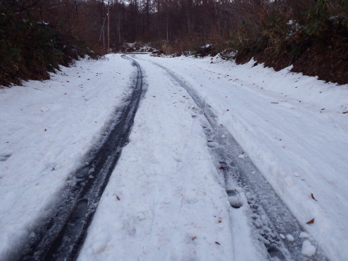 f0118332_01104170.jpg