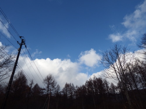 f0118332_01115080.jpg
