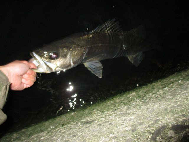 f0321433_11410056.jpg