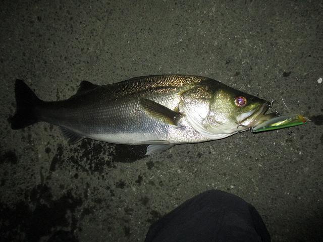 f0321433_11410416.jpg