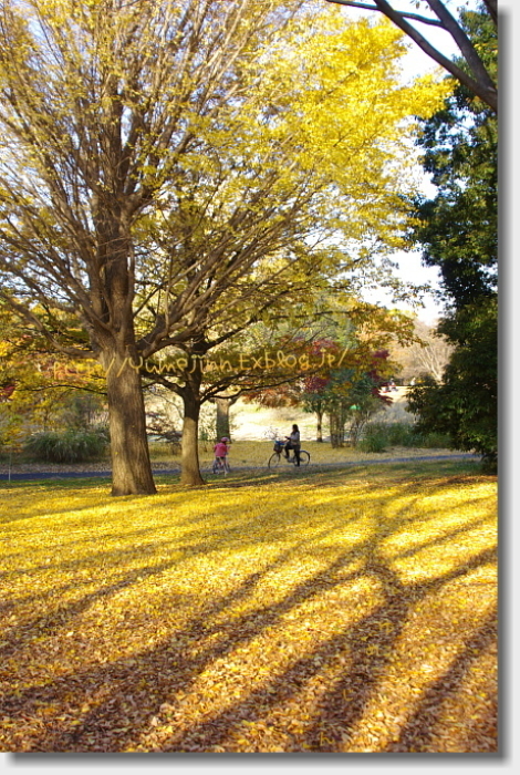 a0143439_13450223.jpg