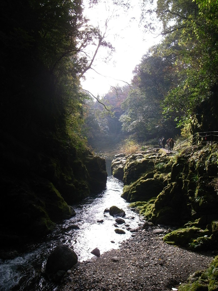 f0176239_103893.jpg
