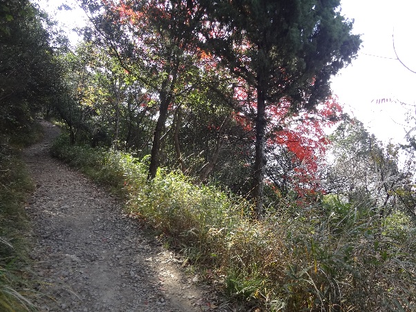 b0149340_2134261.jpg