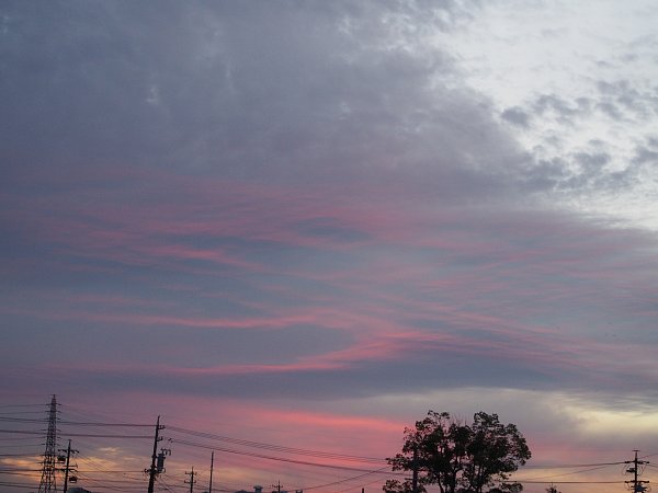 b0341140_16514522.jpg
