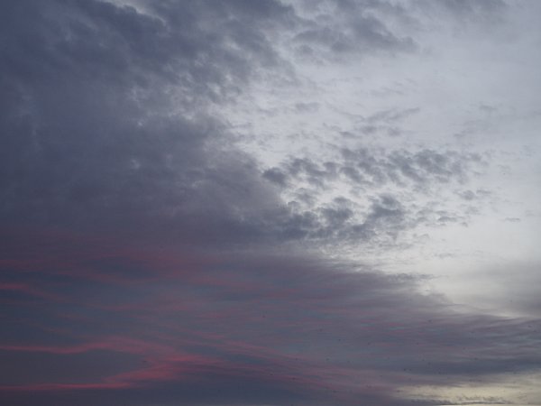 b0341140_16515776.jpg