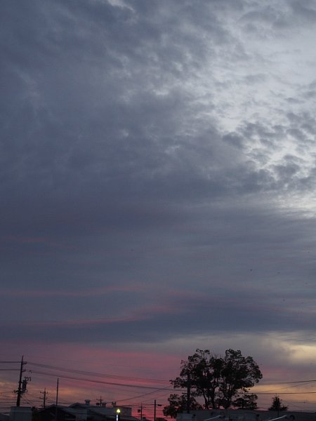 b0341140_1652917.jpg