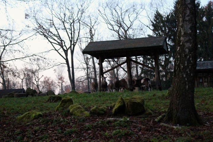 c0153740_21415899.jpg