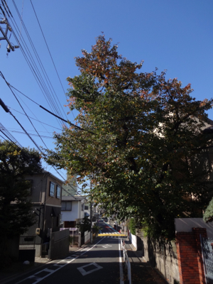 f0141840_01022201.jpg