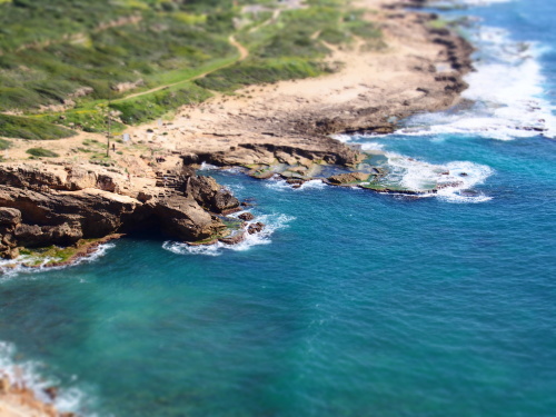 f0347942_17334112.jpg