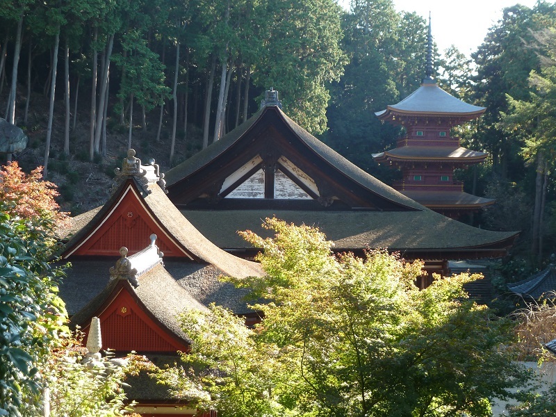 d0288144_16164630.jpg