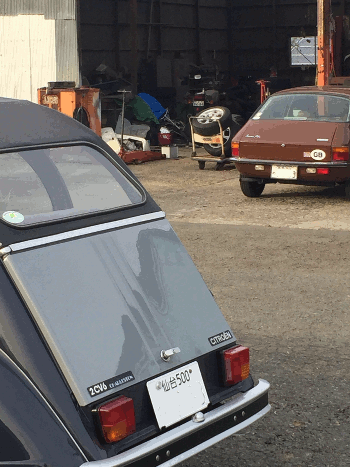 a0026445_20433184.gif