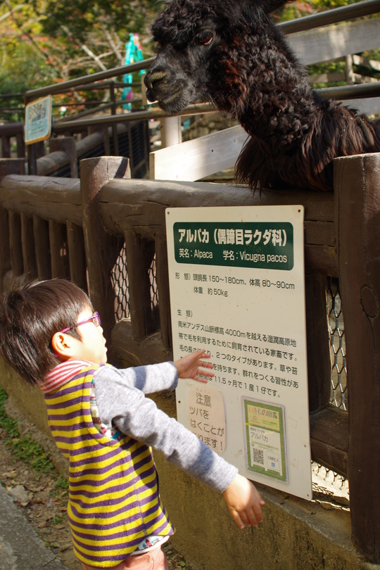 a0299749_22375265.jpg