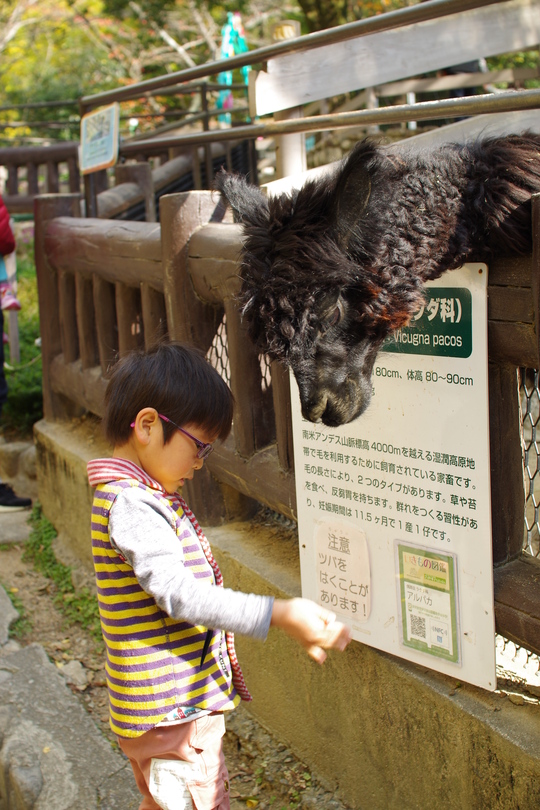 a0299749_2237737.jpg