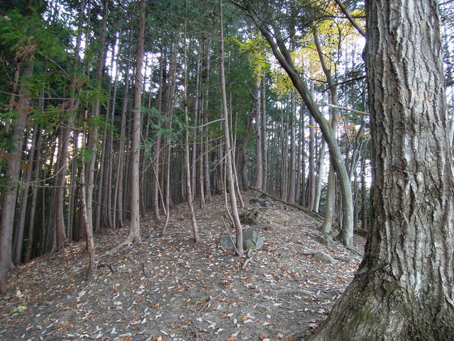e0329049_18313688.jpg