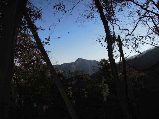 e0329049_1838778.jpg