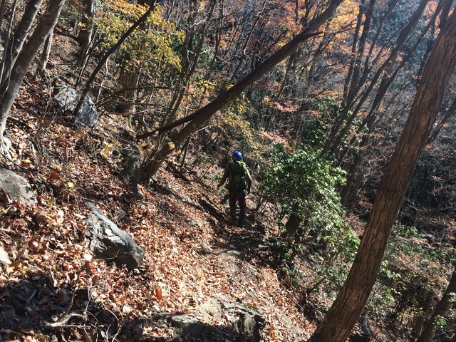 e0329049_20134410.jpg