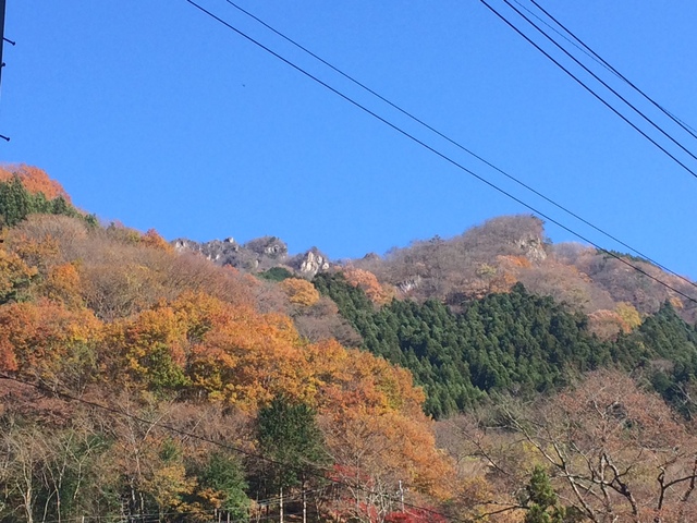 e0329049_2018081.jpg