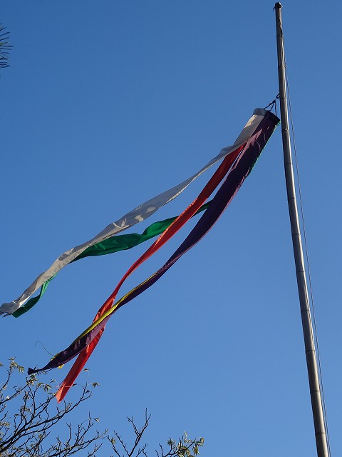 e0184251_9481983.jpg