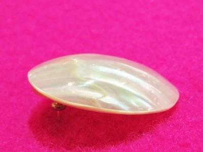 a0159652_19555319.jpg