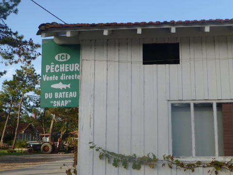 b0296855_22334379.jpg