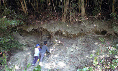 f0201557_1952843.jpg