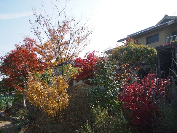 b0246758_20350750.jpg